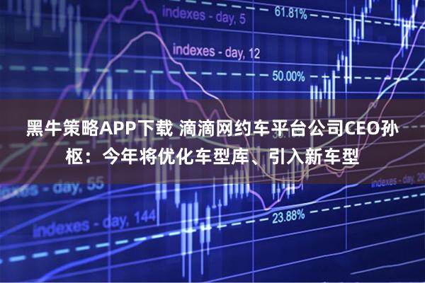 黑牛策略APP下载 滴滴网约车平台公司CEO孙枢：今年将优化车型库、引入新车型